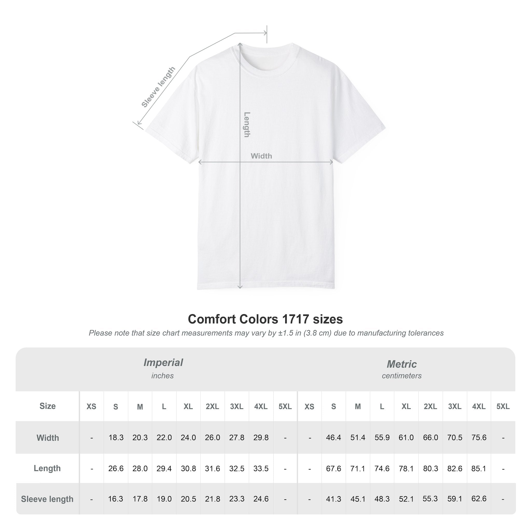 Mana Toast, Comfort Colors T-Shirt | Dungeon Crawler Carl Regeneration Toast Design